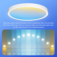 Nouveau panneau de plafond à spectre complet Ra98 Sky Smart WiFi BT commande vocale Alexa Google Assistant Compatible panneau lumineux LED