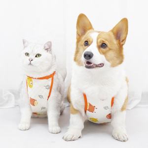 टेडी कॉर्गी गोल्डन हेयर के कपड़े कूल सबूत पेट की रक्षा करने वाली टेडी कॉर्गी गोल्डन हेयर के कपड़े - Product Image 2