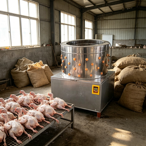 Máquina Desplumadora <span class=keywords><strong>de</strong></span> <span class=keywords><strong>Pollos</strong></span>, Desplumadora <span class=keywords><strong>de</strong></span> Aves <span class=keywords><strong>de</strong></span> Corral Comercial para Uso en Granjas y Carnicerías - Product Image 1