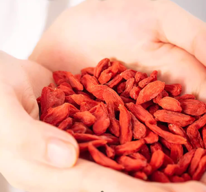 Fabrika doğrudan prim <span class=keywords><strong>Ningxia</strong></span> <span class=keywords><strong>Goji</strong></span> meyveleri büyük boy ilk hasat kurutulmuş <span class=keywords><strong>Goji</strong></span> <span class=keywords><strong>Ningxia</strong></span> <span class=keywords><strong>Goji</strong></span> bitkisel çay için 1kg güçlü tedarikçisi - Product Image 2