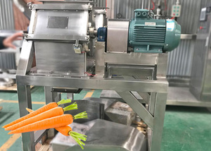 Công nghiệp cà rốt nước trái cây dây chuyền chế biến trái cây vắt máy trong nhà máy - Product Image 4