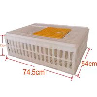 Cage à animaux portable en PP/PVC pour le transport d'œufs, pour l'élevage de poulets, cailles et dindes, état neuf, ferme, capacité 90-200 poulets
