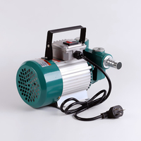 Pompe de transfert de carburant diesel électrique auto-amorçante de Type horizontal 220V 750W pompe à huile auto-amorçante électrique
