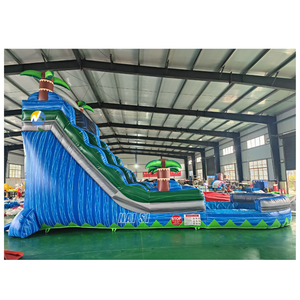 Toboggan aquatique gonflable tropical commercial <span class=keywords><strong>d</strong></span>'extérieur avec piscine pour enfants et adultes, parc aquatique <span class=keywords><strong>d</strong></span>'été pour location événementielle - Product Image 4