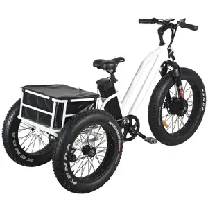 Uwant20インチファットタイヤ3輪電動自転車3輪大人用貨物電動自転車バスケット付き