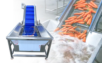 Industriële wortelsnijmachine, wortelwasser, borstel- en schilapparaat, productielijn voor babywortels