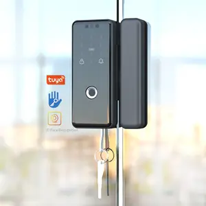 Tuya Smart Wifi Digital Door Lock Code Home Office Smart Lock System 3d Face Recognition Smart Door Lock