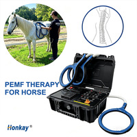 Appareil PEMF portable pour chevaux, pour thérapie sur site, rééducation des blessures et utilisation en voyage