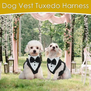 Tuxedo per Cani di Taglia Media, Gilet Formale per Matrimoni, Costumi di Compleanno per <span class=keywords><strong>Bulldog</strong></span> <span class=keywords><strong>Francese</strong></span>, Pomerania, Chihuahua - Product Image 6