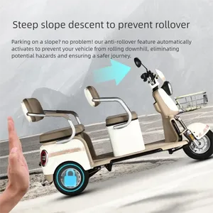 Triciclos Eléctricos Personalizados, Asiento Doble Confortable, 3 Ruedas <span class=keywords><strong>de</strong></span> Baja Velocidad, Seguros para Personas Mayores, Transporte Familiar, Transporte <span class=keywords><strong>de</strong></span> Niños, 3 Colores. - Product Image 3