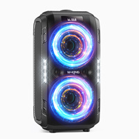 W-King T9PRO Haut-parleurs 120W Système de karaoké portable Haut-parleur DJ avec caisson de basses Haut-parleur de cinéma maison Boîte de haut-parleurs Bass Speaker