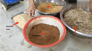 Dài dịch vụ cuộc sống Thức ăn viên Máy Làm trang trại sản xuất pelletizer làm chế biến động cơ diesel Thức ăn viên máy - Product Image 3