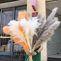 Pabrik Boho dekorasi pernikahan besar Plume kering Pampas dekorasi bunga rumput alami asli diawetkan rumput Pampas kering untuk dekorasi