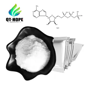 Top qualidade adenosina trifosfato dissódico ATP pó