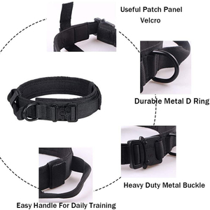 Laisse de traction pour chien anti-explosion, élastique et rétractable, pour chien de taille moyenne à grande, laisse rétractable dorée pour chien, chaîne pour animaux de compagnie - Product Image 2