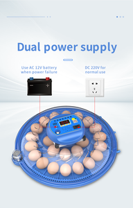 Incubateur de <span class=keywords><strong>80</strong></span> Œufs Entièrement Automatique à Prix de Gros pour l'Éclosion - Product Image 4