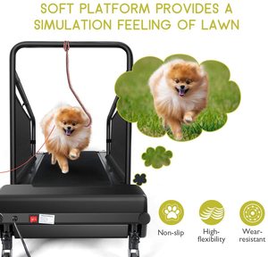 Caminadora Portátil para Perros JK360-2, Máquina de Correr Eléctrica Compacta para Ejercicio Canino en Interiores con Diseño de Motor Silencioso - Product Image 5