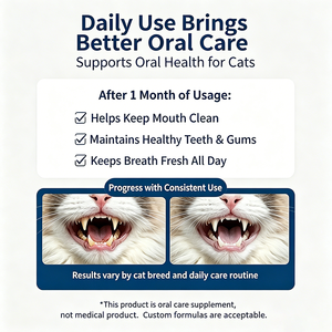 Poudre dentaire pour chats OEM ODM, rafraîchisseur d'haleine naturel, élimination de la plaque et du tartre, complément de soins bucco-dentaires pour animaux de compagnie, service personnalisé en gros - Product Image 3