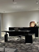 Bureau de direction moderne et simple, style Taipan, luxe léger, réglable en hauteur, avec plateau supérieur en bois, modèle 2025 Fashion Boss.