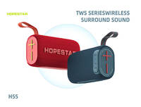 Hopestar H55 Barra de Sonido Portátil Bluetooth de 16W, IPX7 Impermeable, TWS Estéreo, Radio FM, Altavoces Duales, Audio para Viajes al Aire Libre