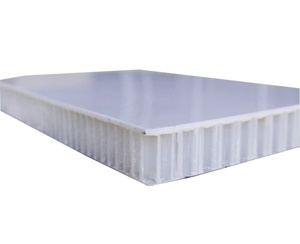 Tấm Tổ Ong PP Cho Xe Tải Tủ Đông Để Hoàn Thiện Nội Thất Tường Cách Nhiệt Chống Ẩm - Product Image 4