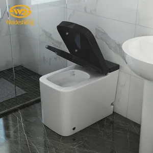 Modern Wholesale China Supplier Luxury Intelligent Smart Bidet Toilet