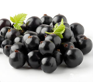 Menyediakan ekstrak kismis hitam alami ekstrak buah kismis organik ekstrak kismis hitam dengan harga terbaik - Product Image 3