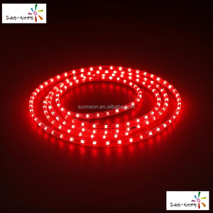 Luz de neón LED personalizada, tira de neón LED para uso en exteriores - Product Image 3
