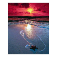 Peinture Diamant Ever Moment - Paysage Marin Coucher de Soleil - Broderie Carrée Complète - Mosaïque de Perles - Décoration Murale Faite à la Main S2F2512