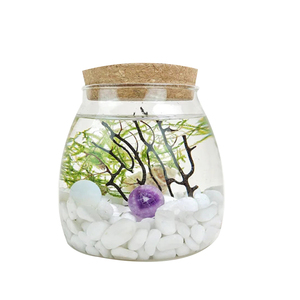 Mini boule de cristal Terrarium bricolage artisanat Kit intérieur mousse plante <span class=keywords><strong>cadeau</strong></span> <span class=keywords><strong>pour</strong></span> <span class=keywords><strong>papa</strong></span> la fête des pères <span class=keywords><strong>pour</strong></span> la maison jardin suspendu utilisation du sol - Product Image 2