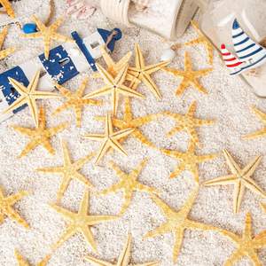 50 adet 2-3 inç doğal sarı deniz yıldızı büyük denizyıldızı DIY el sanatları için düğün plaj dekoru - Product Image 2