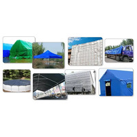 Bâche en plastique PE imperméable, résistante aux UV, bords renforcés, légère, taille personnalisable, découpe sur mesure, auvent de jardin extérieur