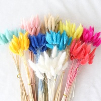 Articles de décoration pour la maison 60 tiges/bouquet séché queue de lapin herbe séchée Lagurus Ovatus fleur décoration de mariage fleurs Bouquets