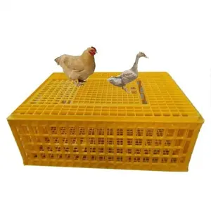 Cage de transport de poulets de chair en plastique d'élevage de volaille en gros d'usine pour le transport de poulets vivants