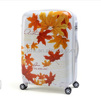 Bagages personnalisés colorés pour enfants valise de voyage avec roue roulante valise à roulettes avec film d'impression PC de dessin animé