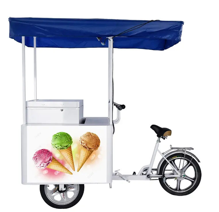 Dc 12 v/24 v 208 litre dondurucu güneş dondurma üç tekerlekli bisiklet gıda kamyon