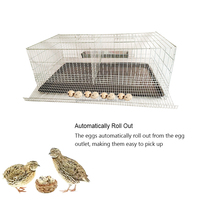 YYC Cage à Cailles Superposable de Haute Qualité pour l'Élevage des Poussins et l'Augmentation de la Production d'Œufs