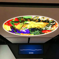 Pantalla LED Redonda a Todo Color para Fondo de Escenario en Conciertos