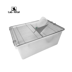 Vendita calda di laboratorio gabbie per animali PP plastica laboratorio di allevamento della vasca gabbia per topo ratto