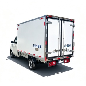 Camión Congelador Pequeño de -18 Grados, Furgoneta Refrigerada de 3 m³, <span class=keywords><strong>Euro</strong></span> 5, Automático, Nuevo Motor de Gasolina, Unidad de Refrigeración de Marca Superior para Hielo - Product Image 5