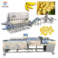 1T/H Fengxiang op maat gemaakte mango verwerkingslijn, mango schil-, kern- en snijmachine, mango verwerkingsinstallatie