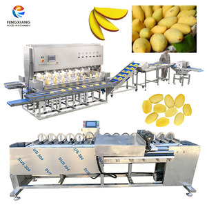 Fengxiang Customized Mango <b>Processing</b> <b>Line</b> Mango Peeler Corer Slicer Machine Mango <b>Processing</b> Plant - Product Image 1