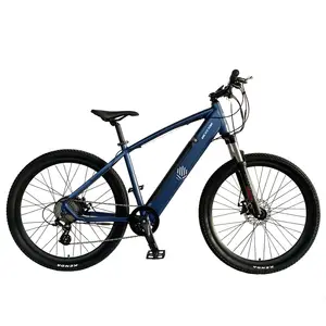 ADA 2021最佳e自行车; 男子山地自行车电动辅助自行车; 从中国购买动力辅助自行车最快的电动自行车