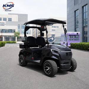 Voitures de golf miniatures à prix de gros, 2 places, sièges confortables, 4 roues, petite voiturette à vendre, batterie haute capacité longue durée - Product Image 4