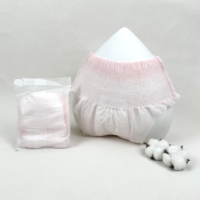 Kostenloses Design Großhandel Damenbinden Einweg-Menstruationshöschen Pad-Unterwäsche Mutterschafts-Periodenhöschen