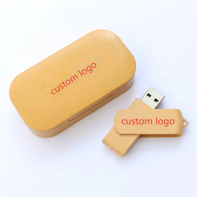 Customizable Logo Wheat Straw Biodegradable USB Disk Set Style Computer Expansion for Business Promotional USB Flash Drive