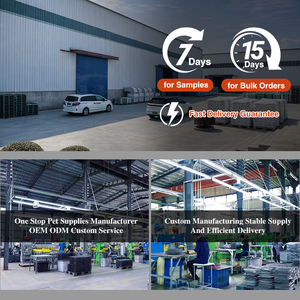 Boîte de <span class=keywords><strong>transport</strong></span> pour animaux de compagnie de taille moyenne pour les compagnies aériennes United, transporteur de cabine pour chats et petits chiens, transporteur d'animaux en plastique portable - Product Image 5