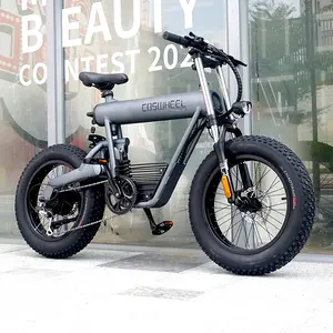 Model baru kuat Fastset Fatbike T20 elektrik sepeda gemuk sepeda listrik Mid Drive cospheel