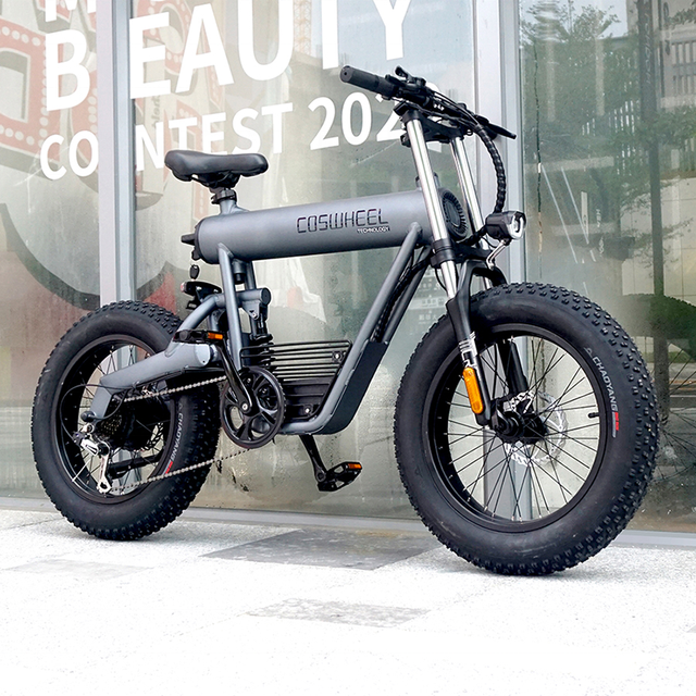 New Model Powerful Fastset Fatbike T20 Electric Fat Bike Electric Bicycle Mid Drive COSWHEEL