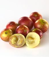 Camu Camu Fruitpoeder Wild Health Food Grade 100g Rijke natuurlijke bron van vitamine C Beta-caroteen Geen toegevoegde suiker Fruitextract